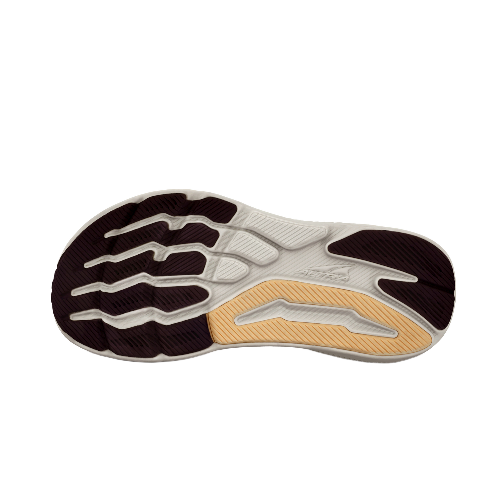 Women's Experience Form Taupe - ver - 2